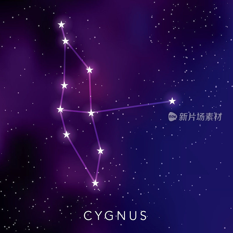 Cygnus Star Constellation